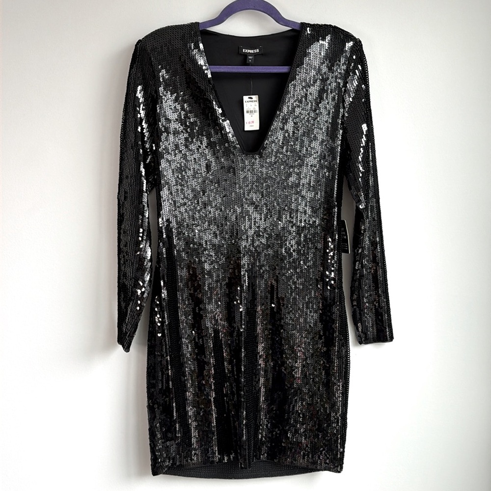 Express Long Sleeve Deep Plunge Sequin Top